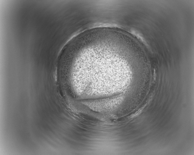 X0000072541165200608111805