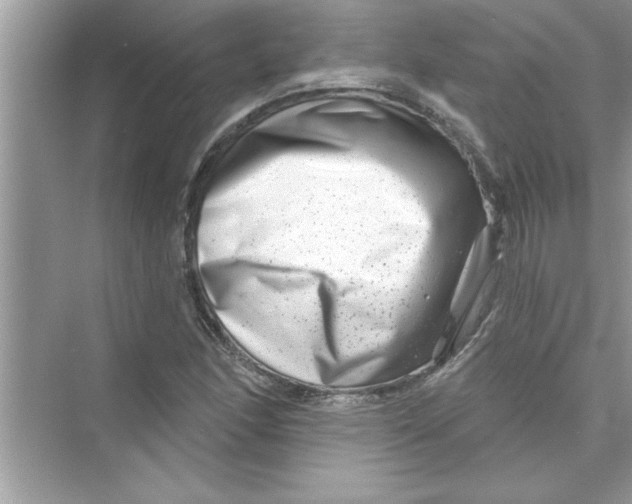 X0000072541166200608111805