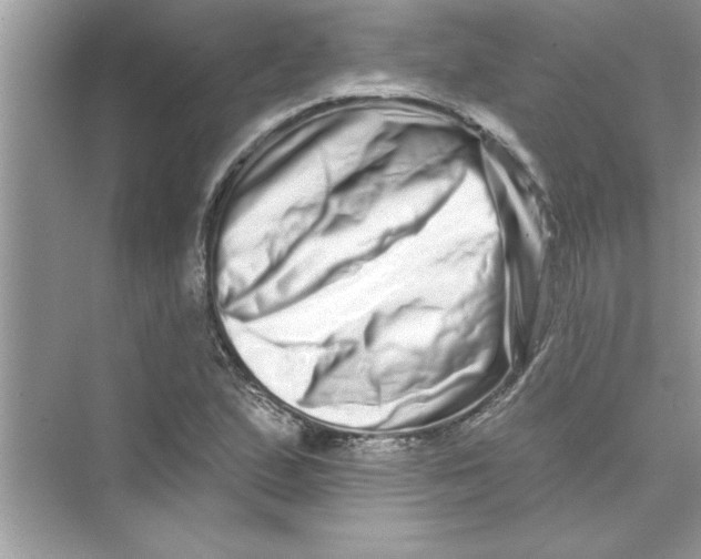 X0000072541167200608111805