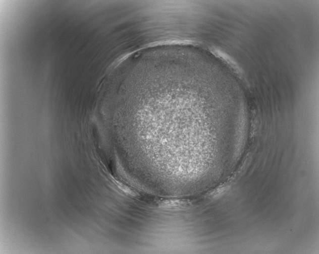 X0000072541169200608111805