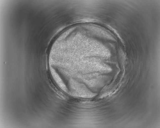 X0000072541171200608111805