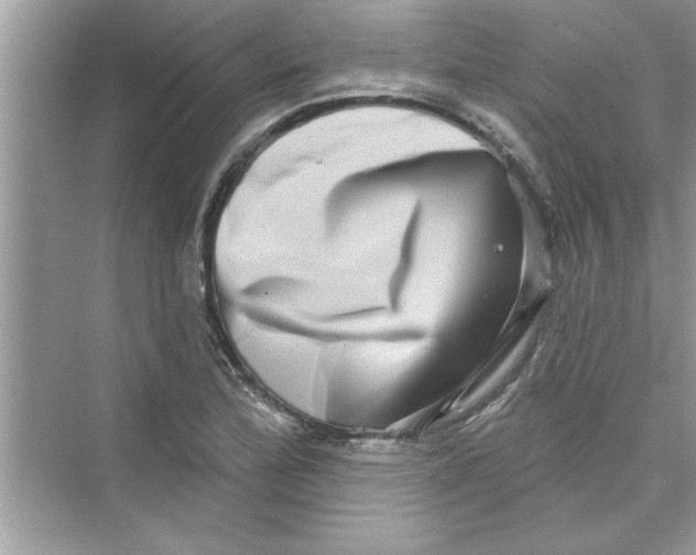 X0000072541172200608111805