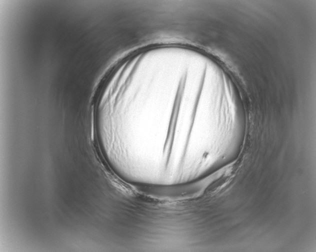 X0000072541175200608111805