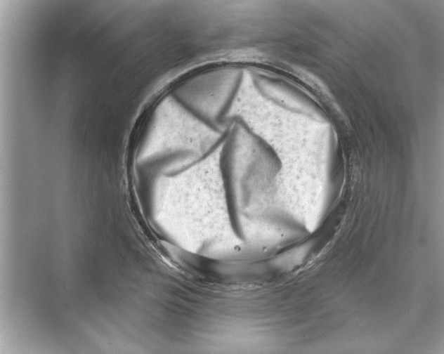 X0000072541176200608111805