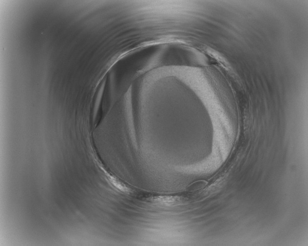 X0000072541177200608111805