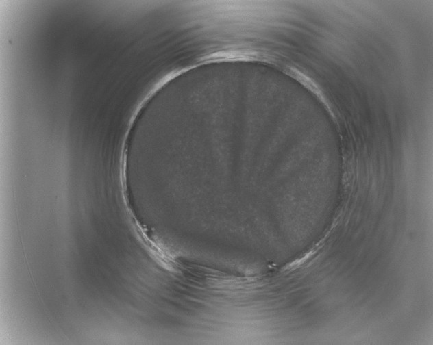 X0000072541179200608111805