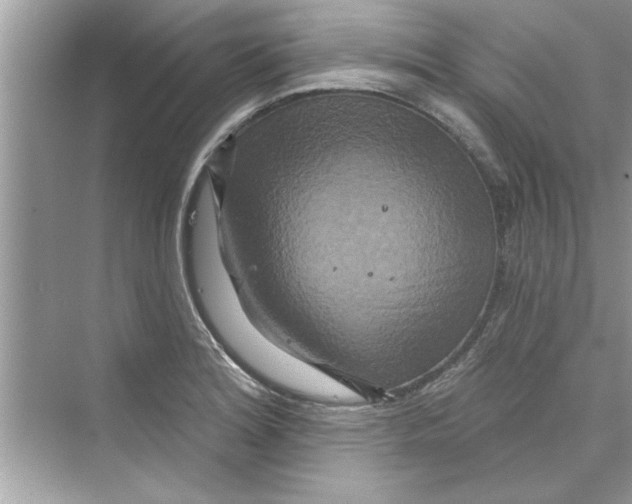 X0000072541180200608111805