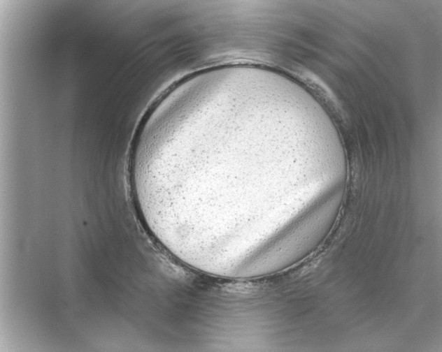 X0000072541182200608111805