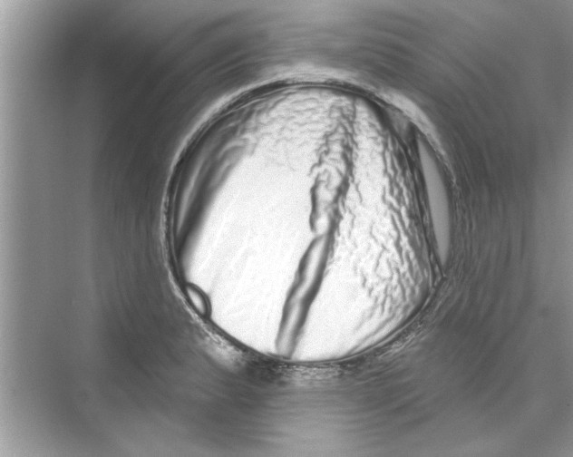 X0000072541183200608111805