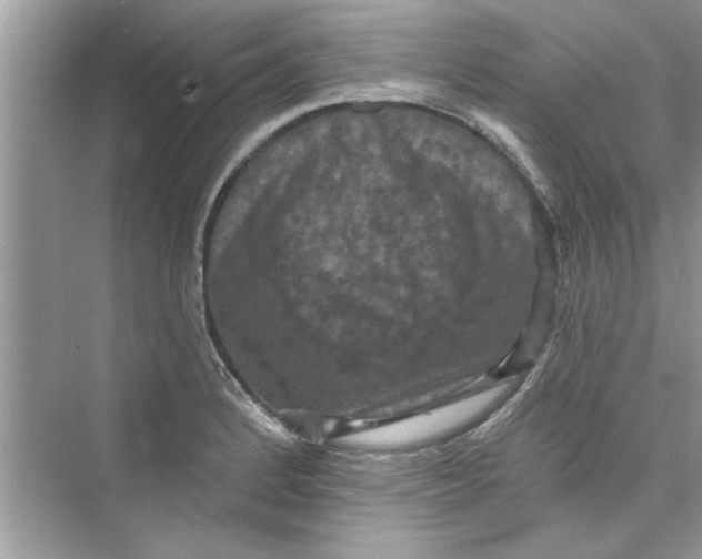 X0000072541184200608111805