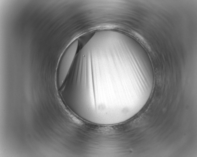 X0000072541186200608111805