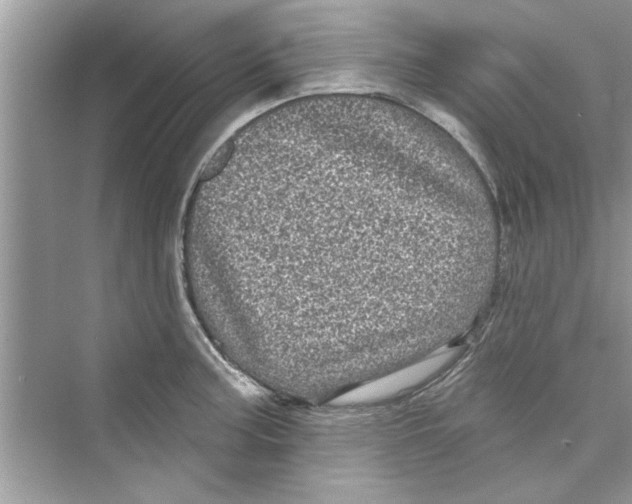 X0000072541187200608111805