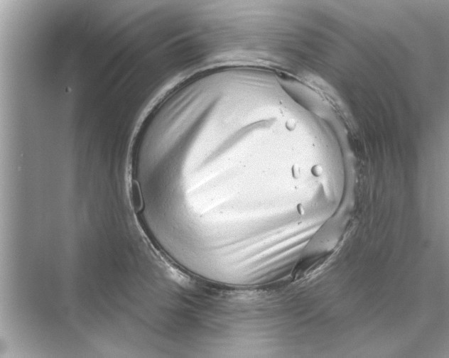 X0000072541188200608111805