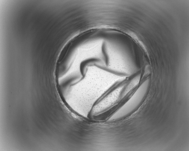 X0000072541189200608111805