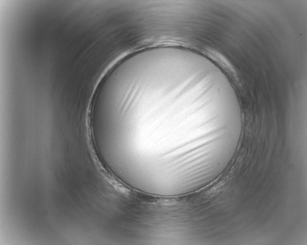 X0000072541190200608111805