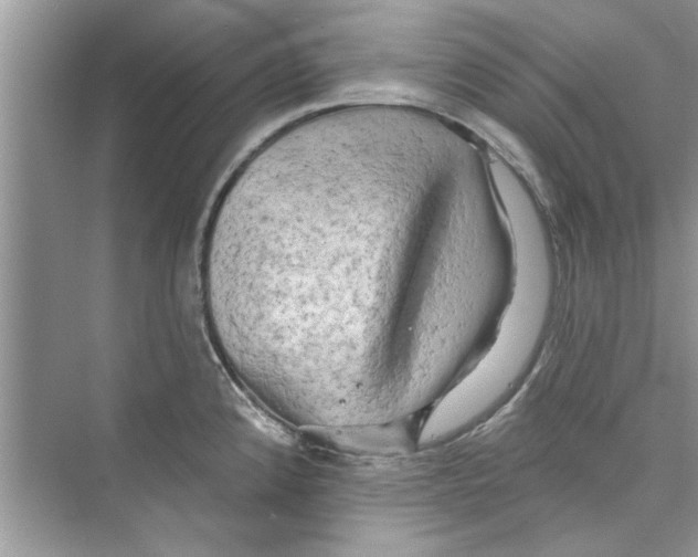 X0000072541192200608111805