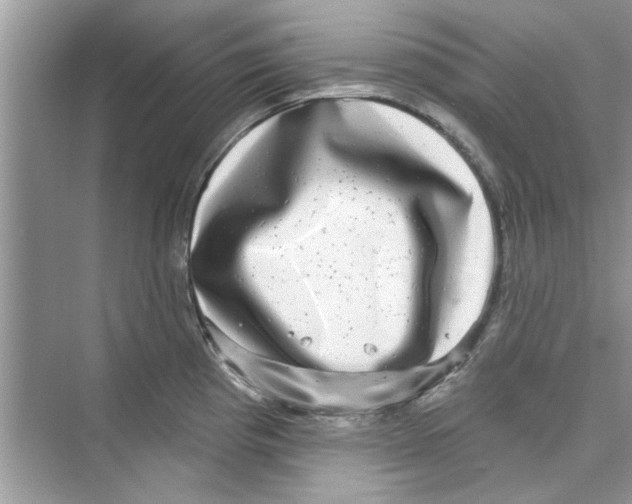 X0000072541193200608111805