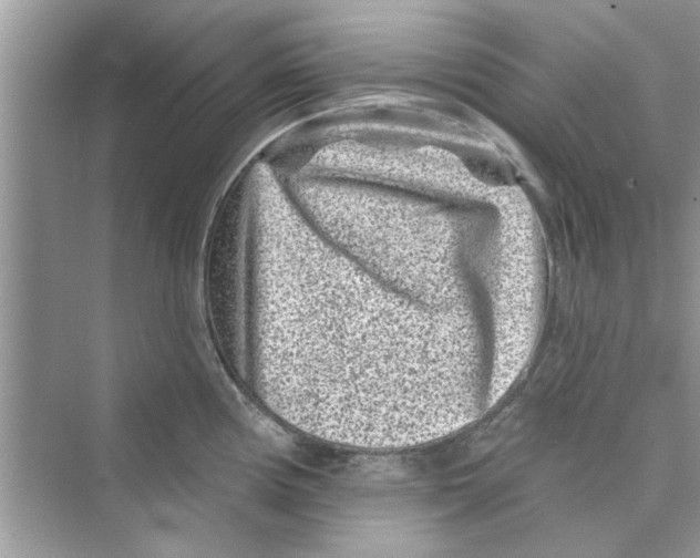 X0000072541194200608111805