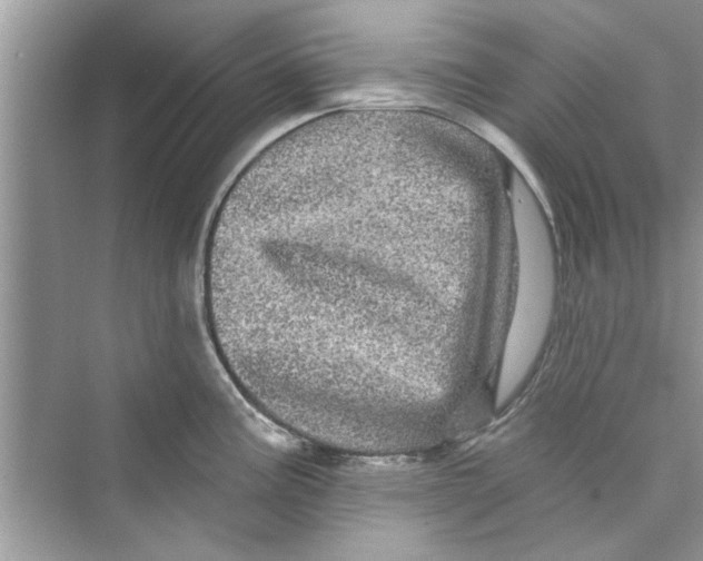 X0000072541195200608111805