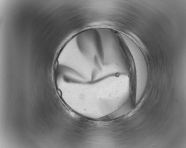 X0000072541196200608111805