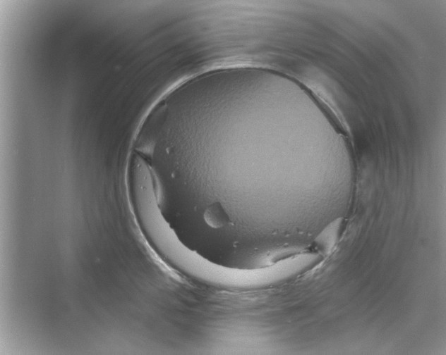 X0000072541197200608111805