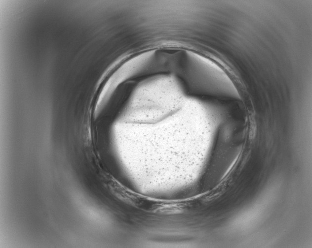 X0000072541198200608111805