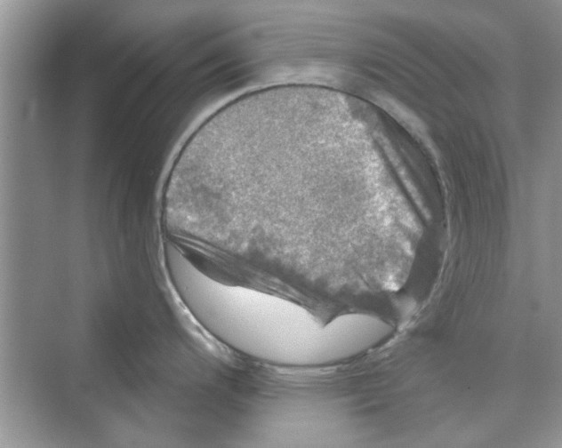 X0000072541200200608111805