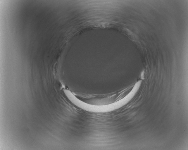 X0000072541202200608111804