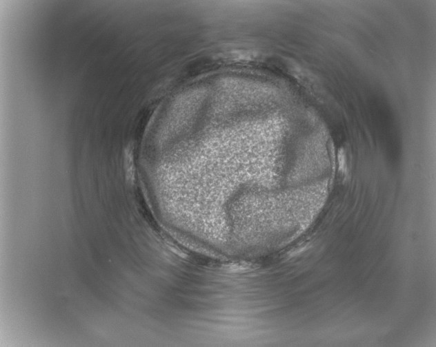 X0000072541203200608111804