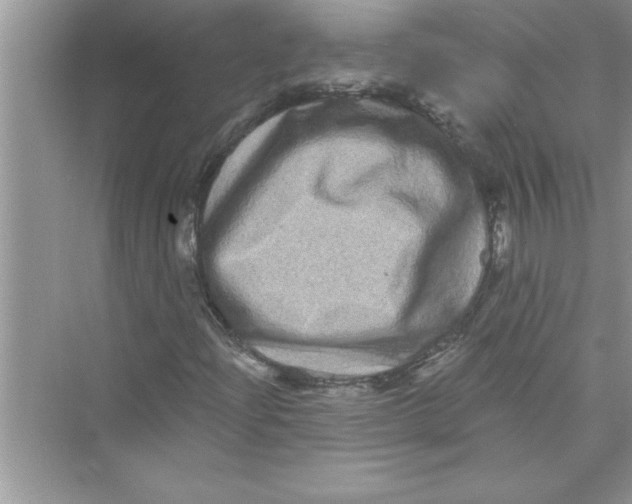 X0000072541204200608111804