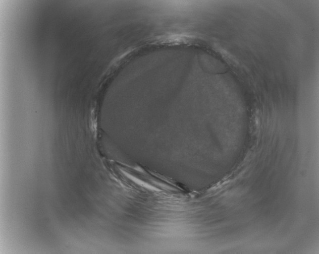 X0000072541206200608111804