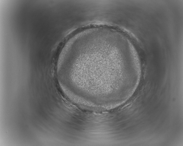 X0000072541207200608111804