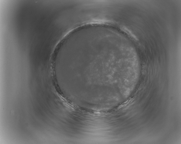 X0000072541208200608111804