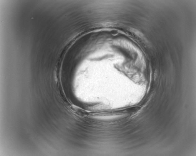 X0000072541209200608111804