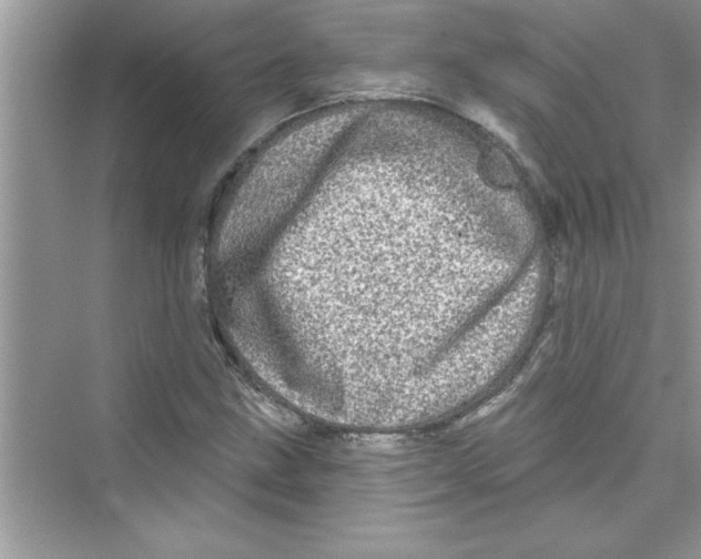 X0000072541211200608111804