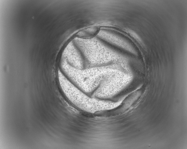 X0000072541212200608111804