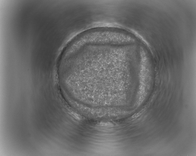 X0000072541215200608111804