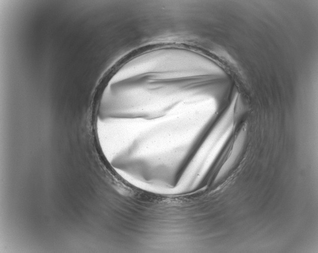 X0000072541216200608111804