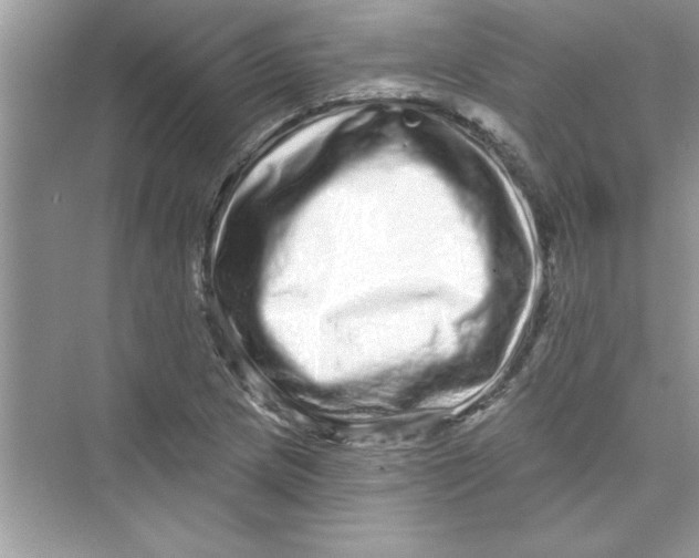 X0000072541217200608111804