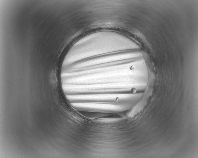 X0000072541218200608111804