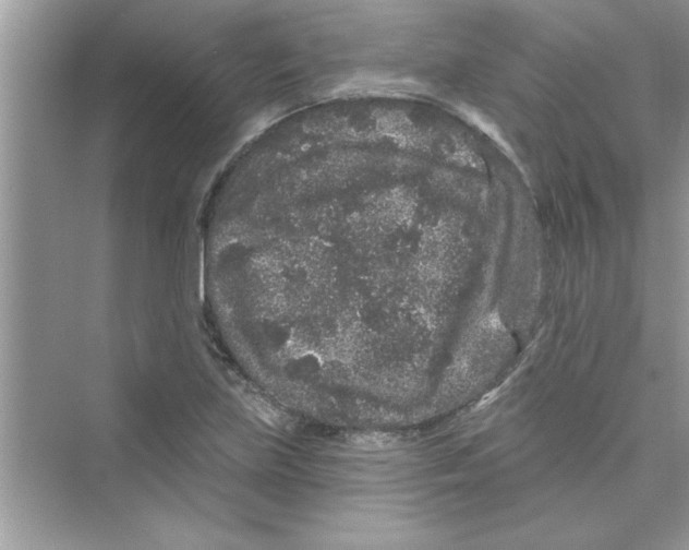 X0000072541219200608111804