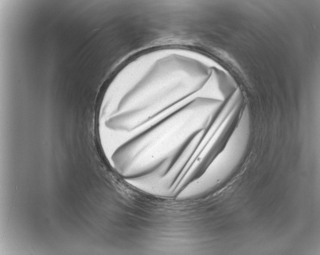 X0000072541220200608111804