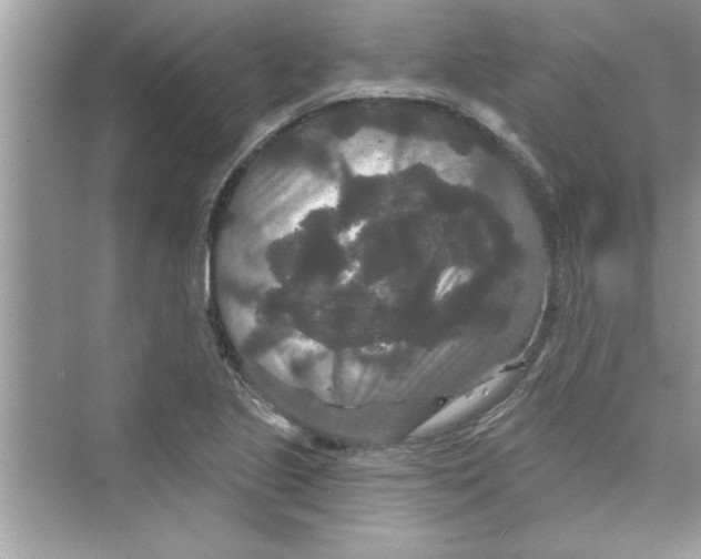 X0000072541221200608111804