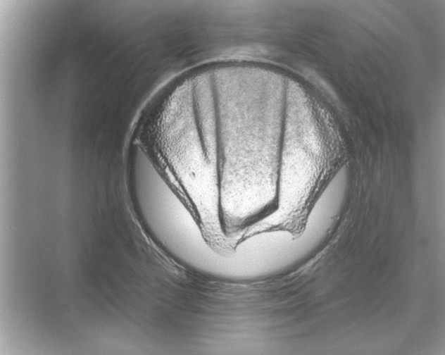 X0000072541224200608111804