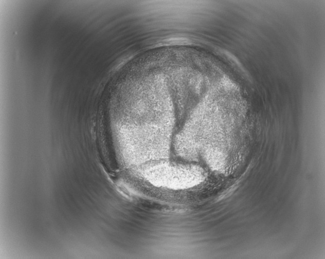 X0000072541225200608111804