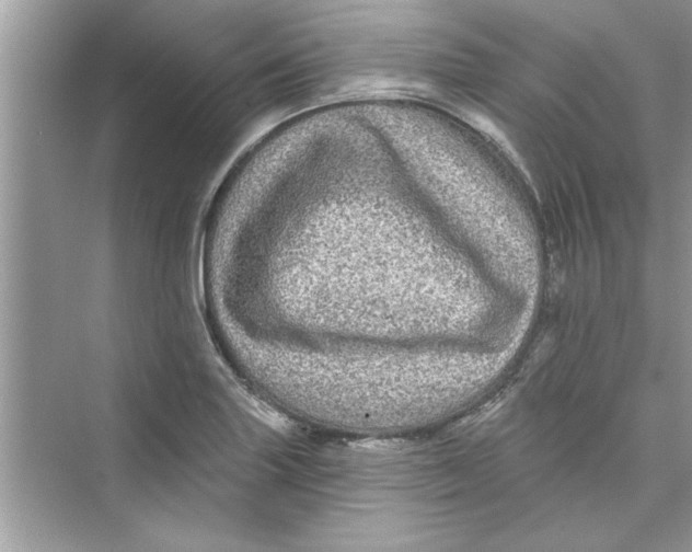 X0000072541227200608111804