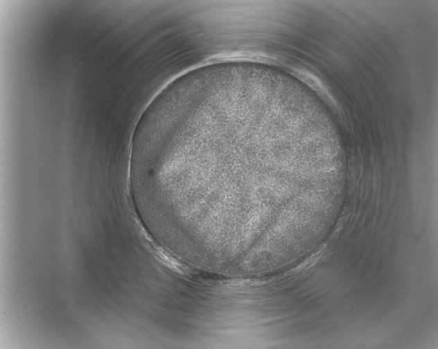 X0000072541228200608111804