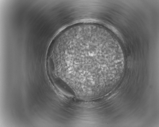 X0000072541229200608111804