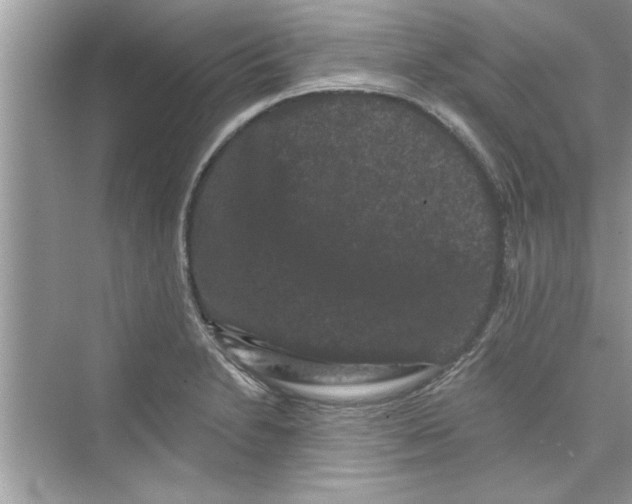 X0000072541230200608111804