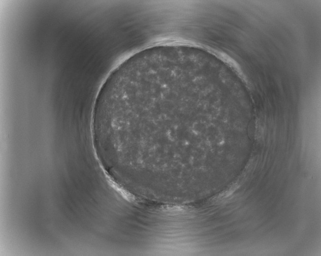 X0000072541231200608111804